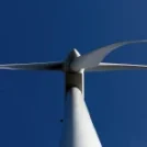 The environmental impact of wind energy